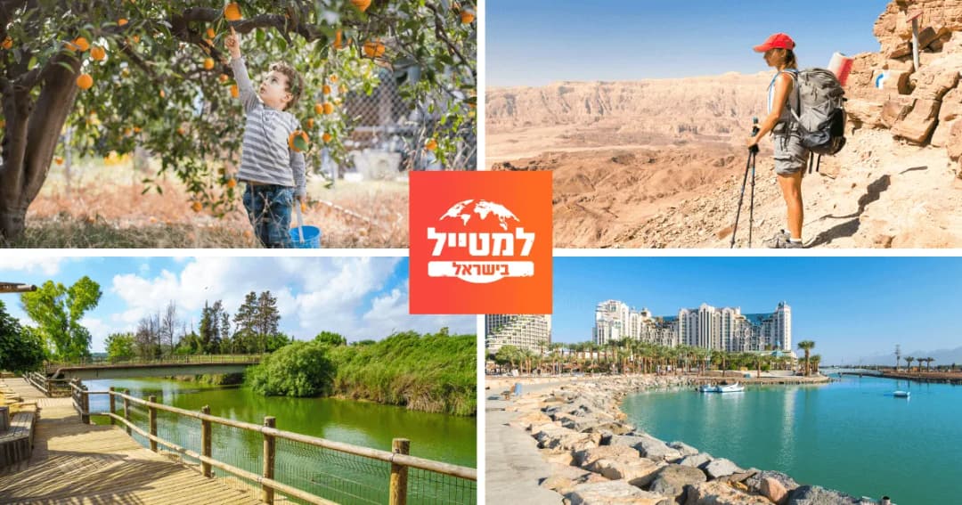 פעלטון נצרת